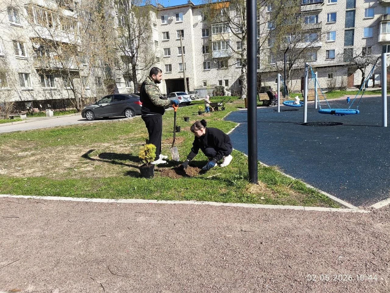 Изображение 10