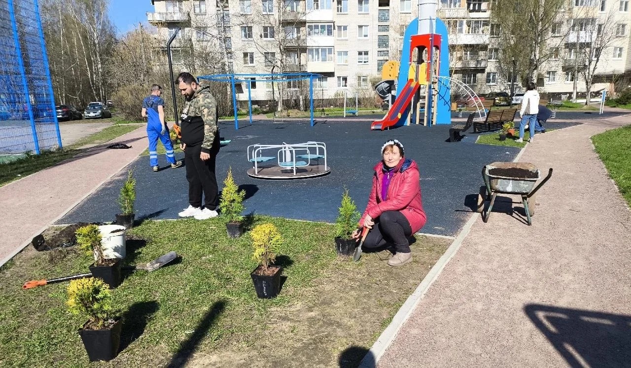 Изображение 9