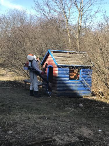 Дезинфекция в Большой Ижоре