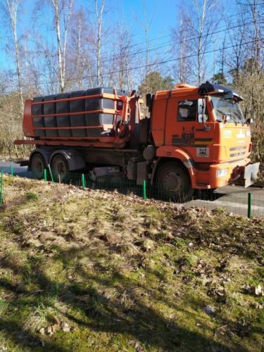 Дезинфекция в Большой Ижоре