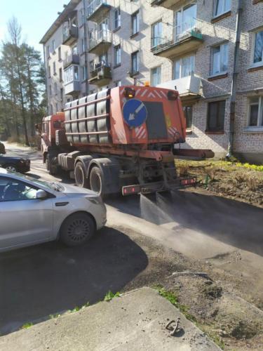 Дезинфекция в Большой Ижоре